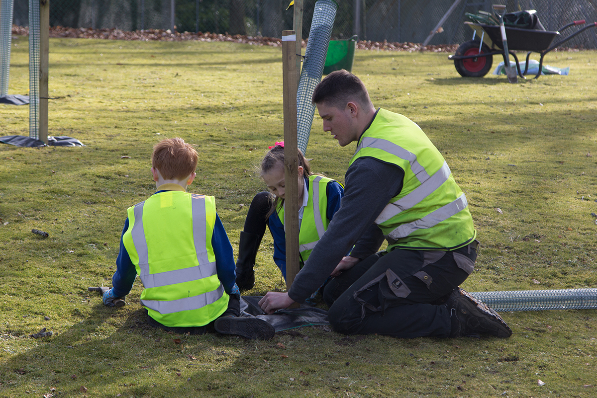 Pupils planting trees from Aberlour Primary #3